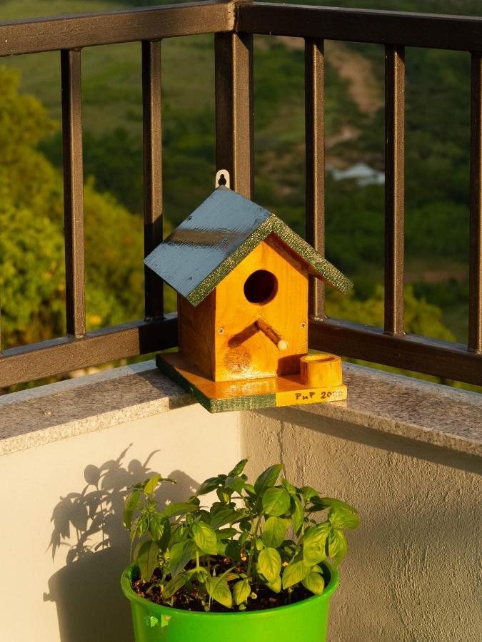 Apartment Village House Ravno Esterno foto